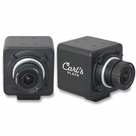 Carl's Place Swing Camera (Set of Two) -  Two cameras shown